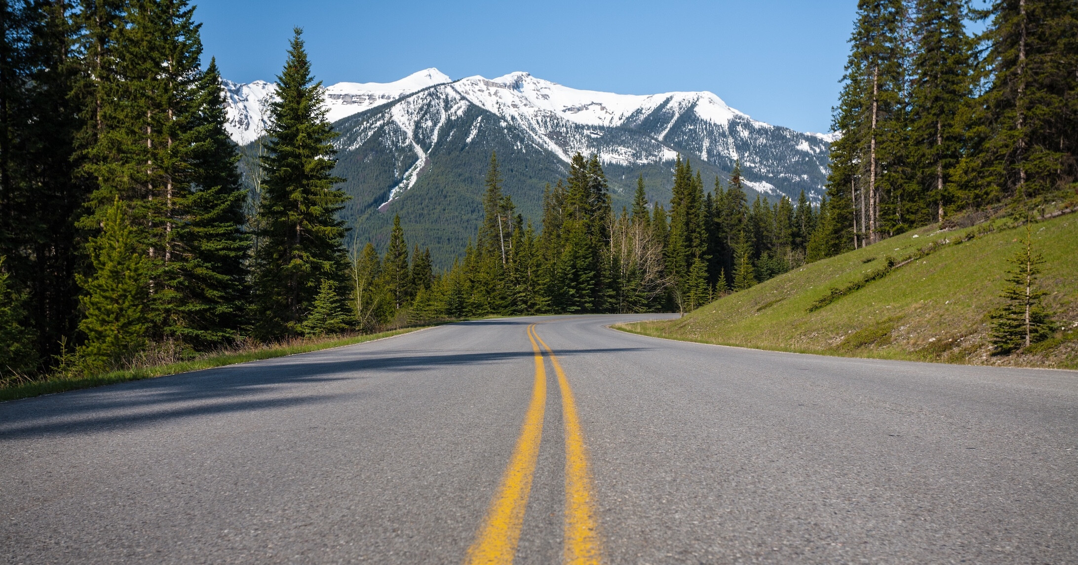 Hero image background